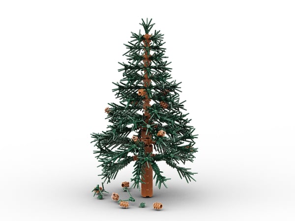 Spruce tree